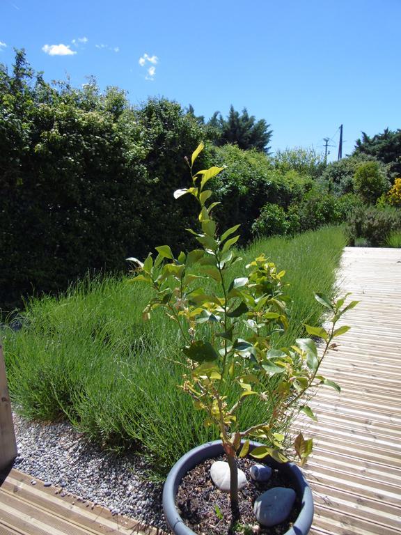 Les Terrasses De Valensole Bed & Breakfast Bagian luar foto