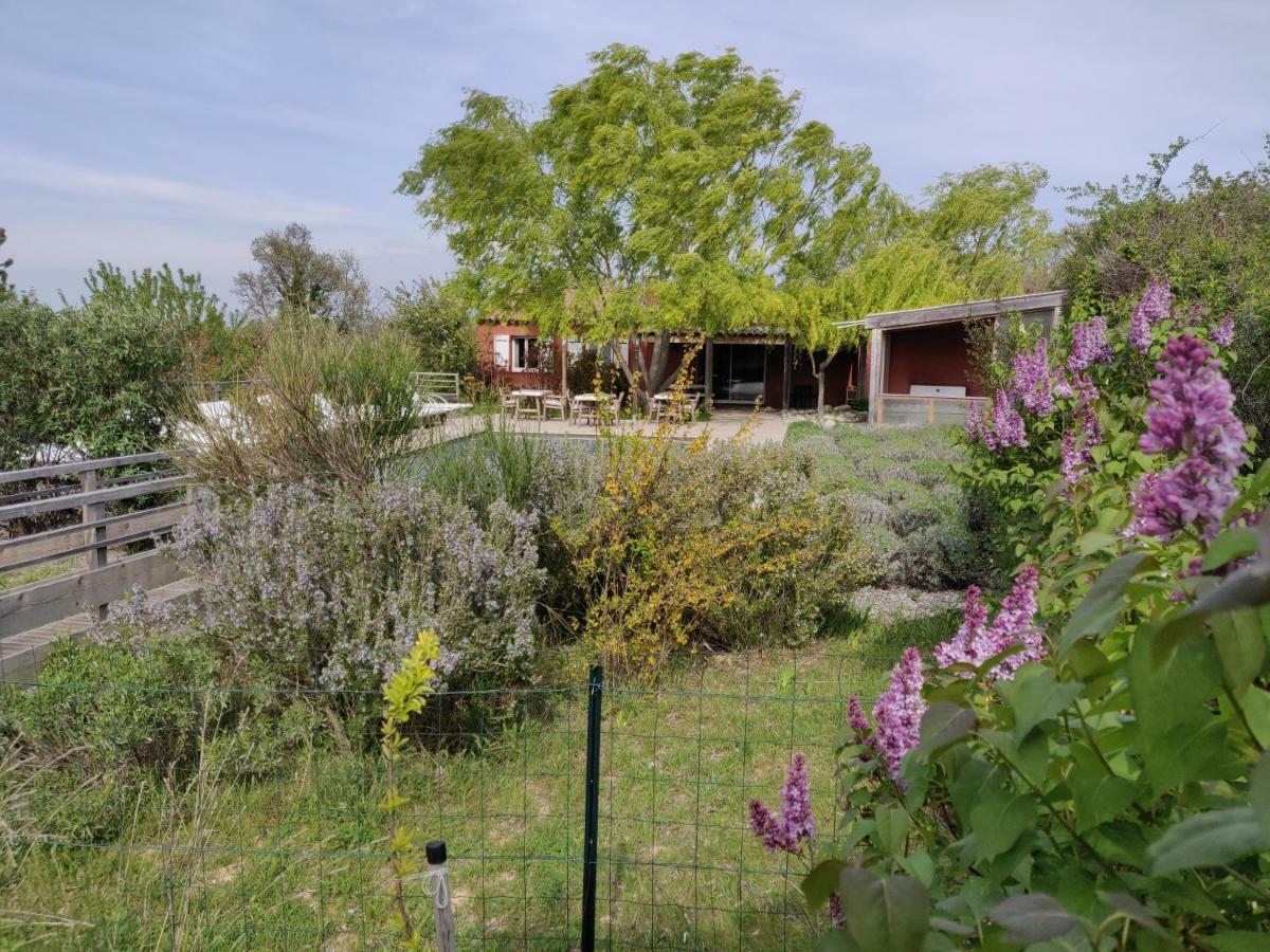 Les Terrasses De Valensole Bed & Breakfast Bagian luar foto